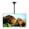 Suptek Ceiling TV Wall Mount Fits 37-75 inch LCD LED Plasma Monitor Flat Panel Screen Display with VESA 600x400 (Max) Loaded up to 132lbs Height Adjustable MC5602